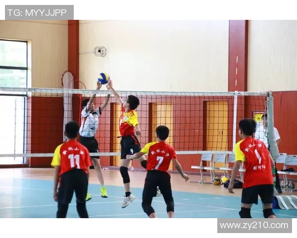 重庆排球队在全国锦标赛中的心理素质分析与表现评估