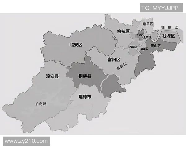 杭州篮球队区域防守革新之路：战术演变与未来展望分析