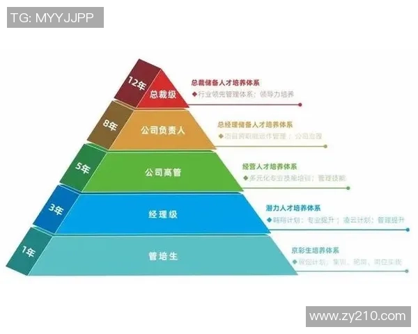 深圳足球队在洲际杯中的实力展现与未来发展潜力分析