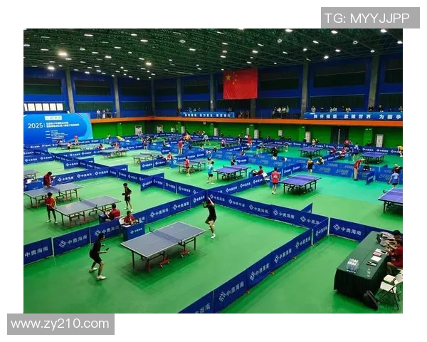 成都乒乓球队的崛起与发展探秘聚焦力量与未来潜力分析