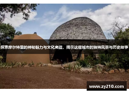 探索摩尔特里的神秘魅力与文化底蕴，揭示这座城市的独特风景与历史故事
